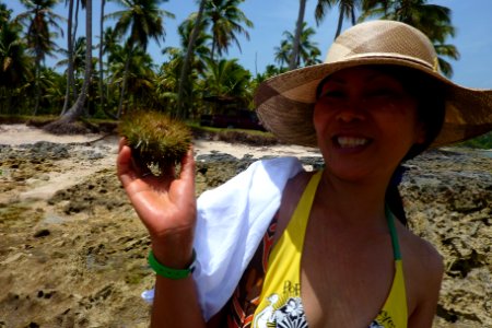 Baby with a sea urchin photo