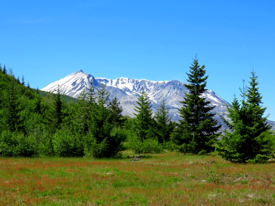 Mt. St. Helens NM in Washington