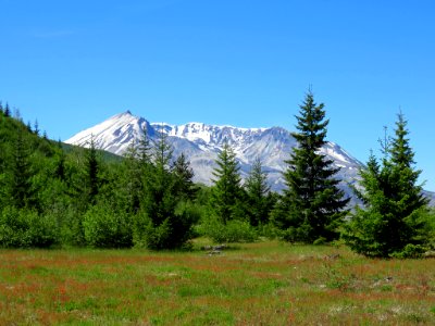 Mt. St. Helens NM in Washington