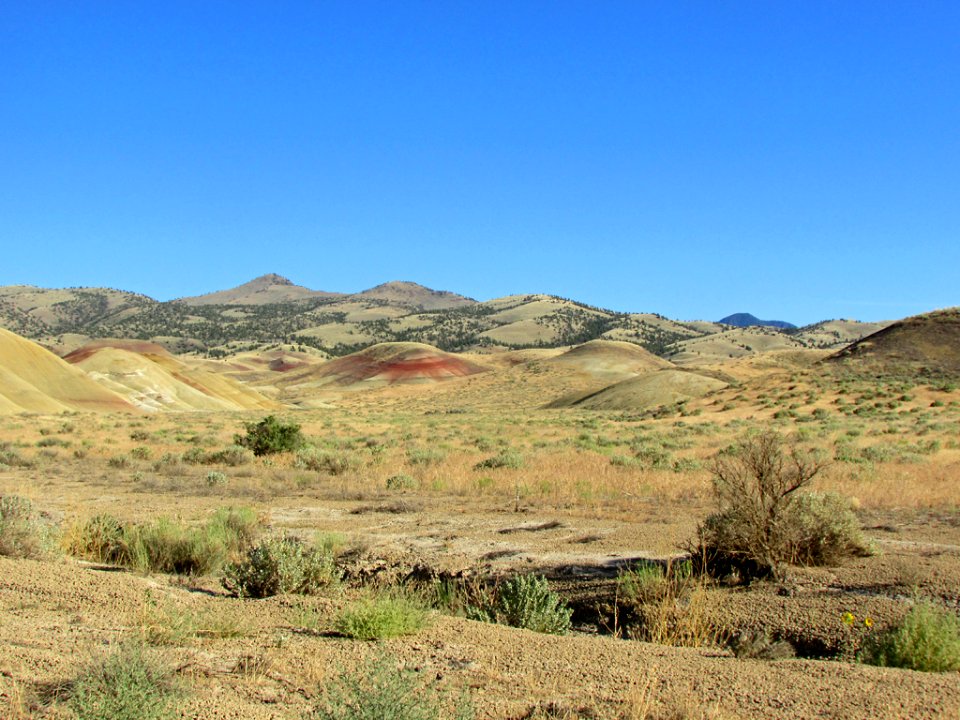 Painted Hills Unit at John Day Fossil Beds NM in OR
