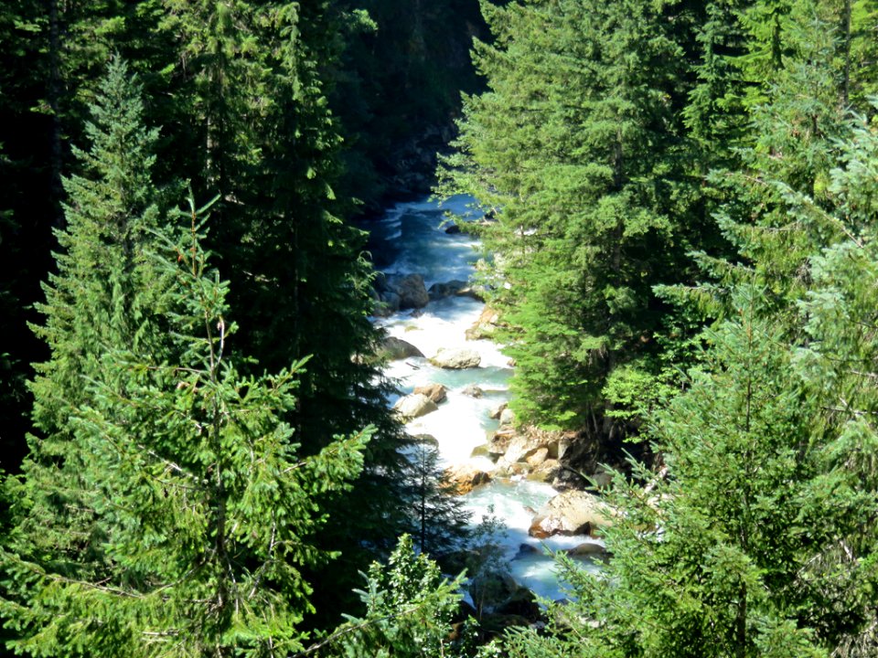 Nooksack River at Mt. Baker-Snoqualmie NF in Washington