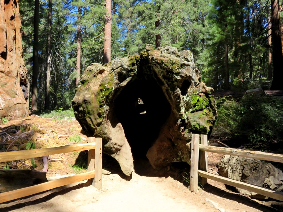Kings Canyon NP in CA
