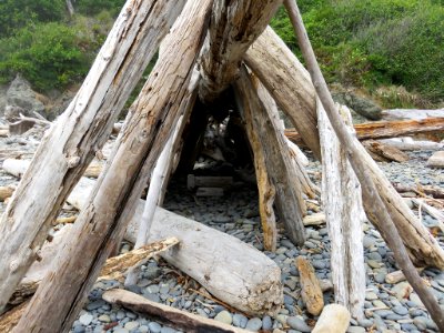 Ruby Beach at Olympic NP in Washington photo