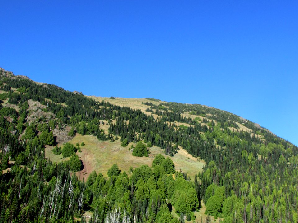 Hurricane Ridge at Olympic NP in WA