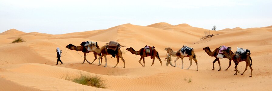 Sand sahara bedouin photo