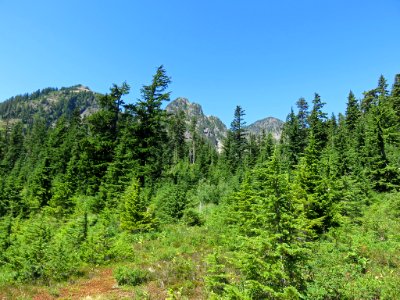 Mt. Baker-Snoqualmie NF in WA photo