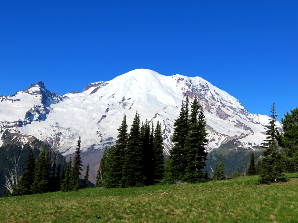 Mt. Rainier NP in WA