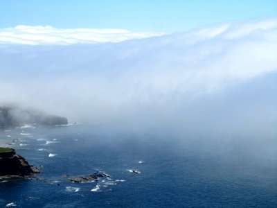 Fog above Pacific Ocean in Oregon photo