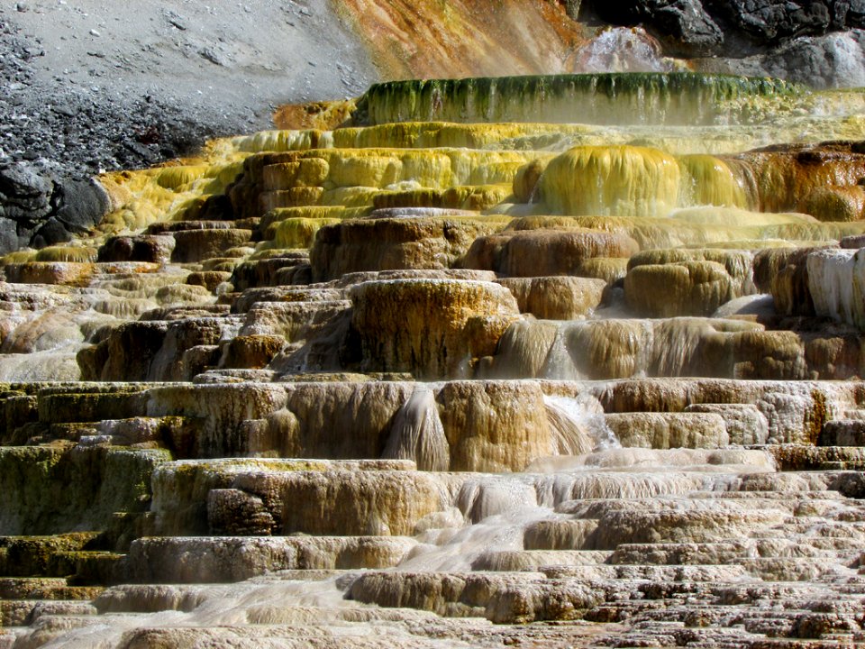 Yellowstone NP in WY