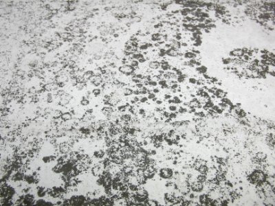 Hintergrund