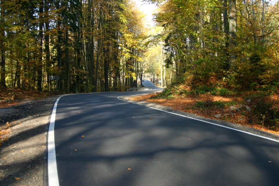 Highway landscape asphalt autumn