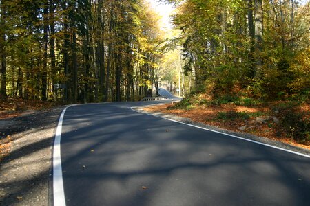 Highway landscape asphalt autumn