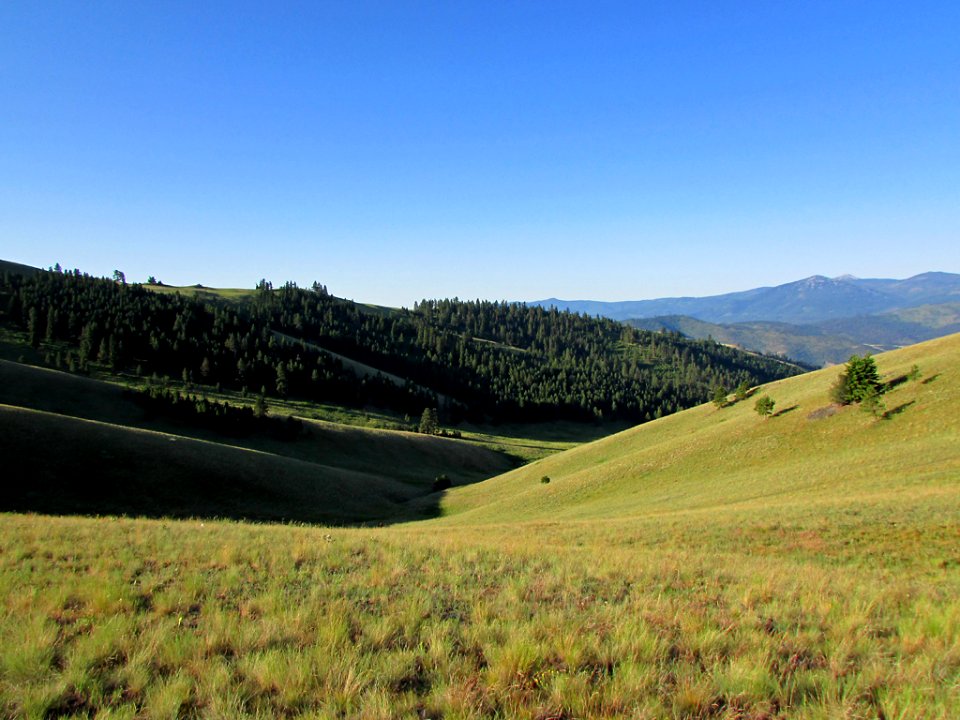 National Bison Range in MT