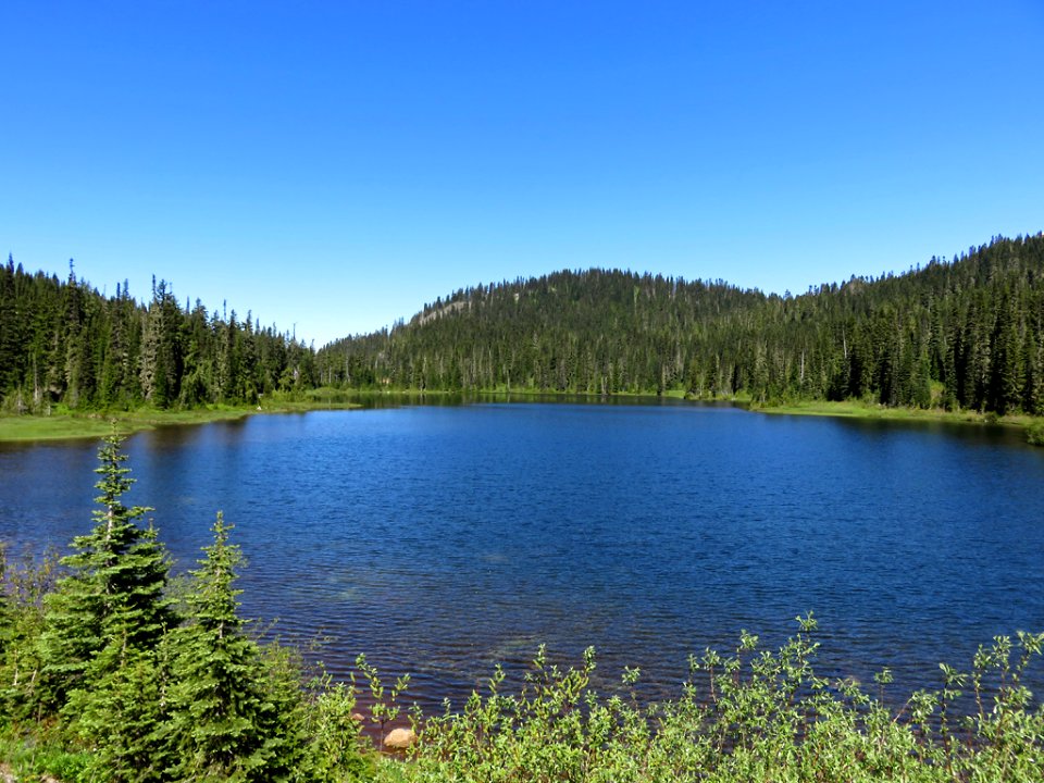 Mt. Rainier NP in WA