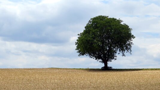 Sky landscape nature photo