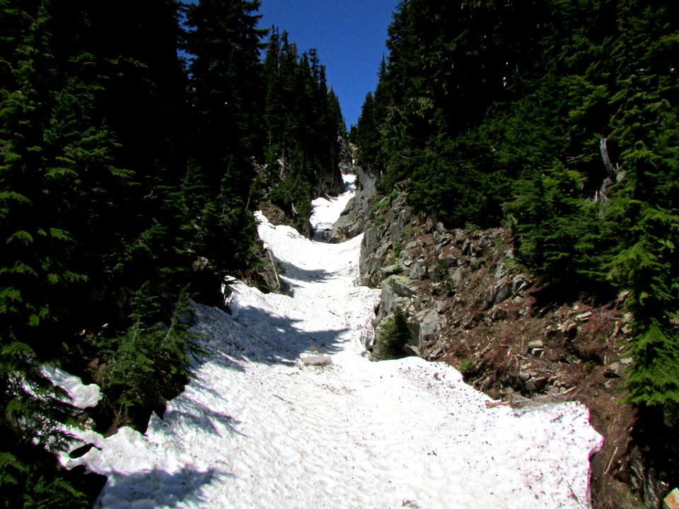 Mt. Rainier NP in WA