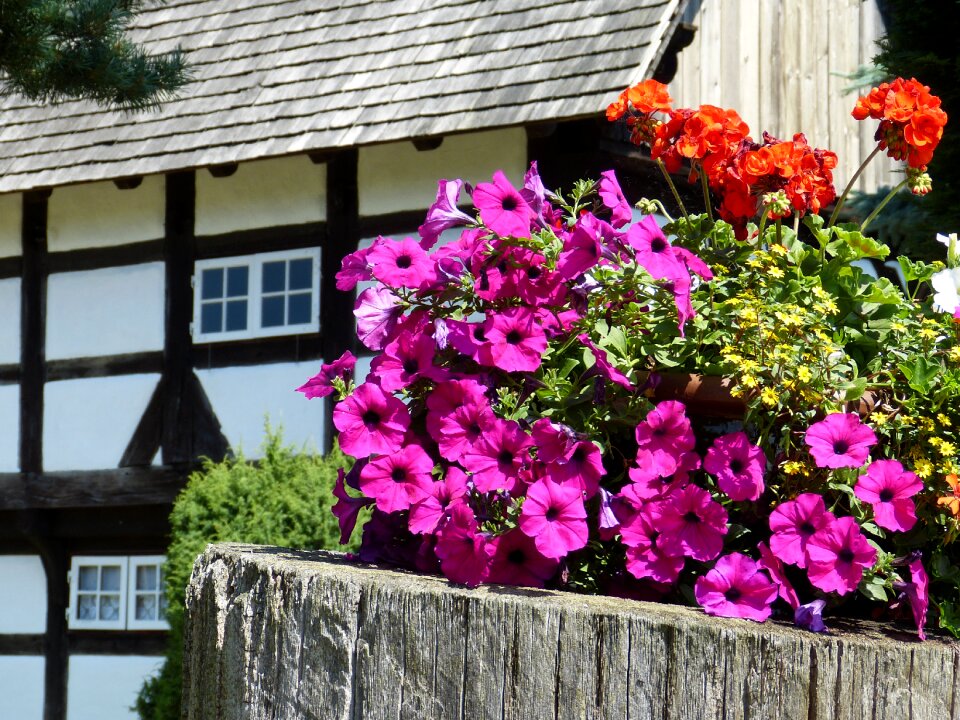 Open air museum farmhouse truss