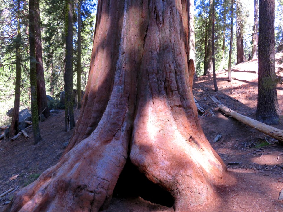 Kings Canyon NP in CA
