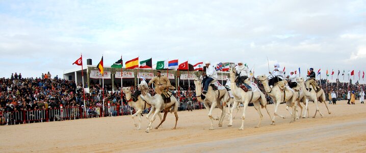 Camel racing festival sahara photo