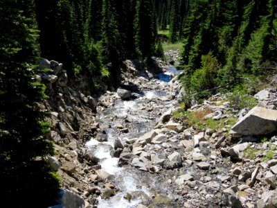 Mt. Rainier NP in WA