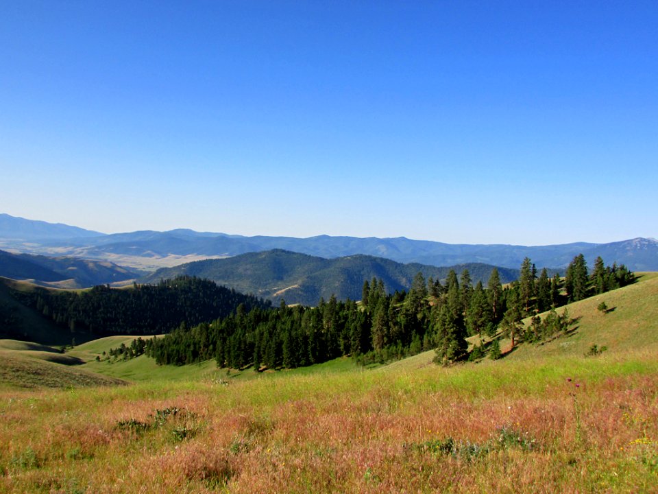 National Bison Range in MT