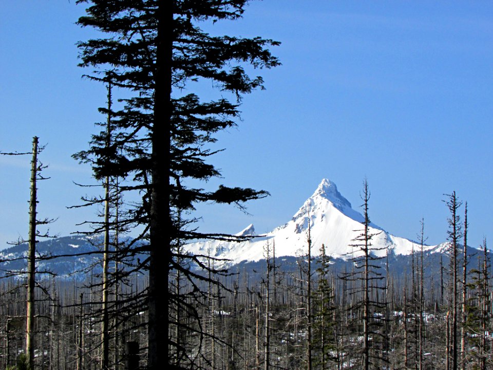 Mt. Washington in Central OR