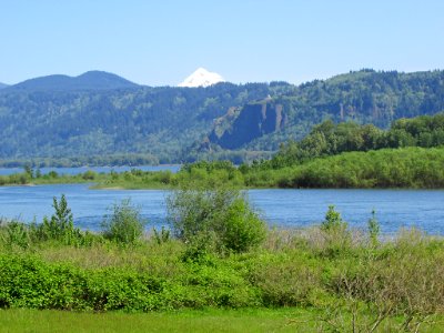 Steigerwald Lake NWR in WA