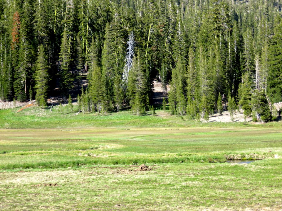 Lassen Volcanic NP in CA