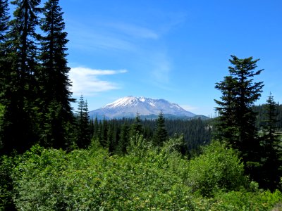 Mt. St. Helens NM in WA