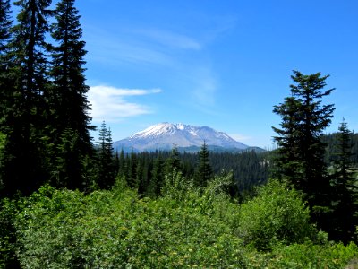 Mt. St. Helens NM in WA photo