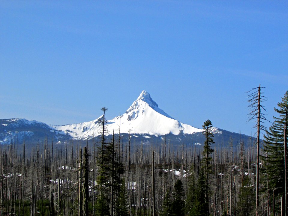 Mt. Washington in Central OR