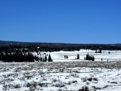 Dixie NF in UT