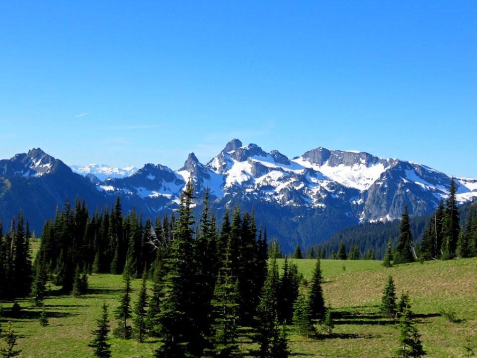 Mt. Rainier NP in WA