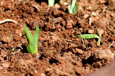 Safer Place to Grow