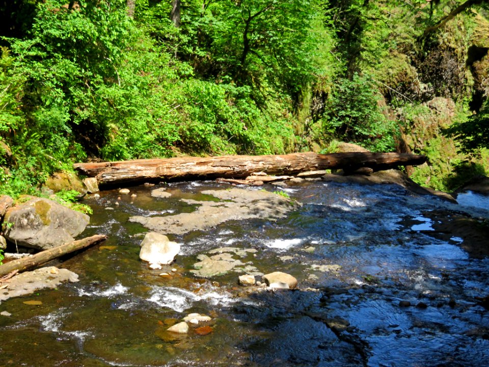Oneonta Creek at Columbia River Gorge in Oregon