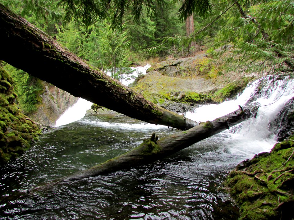 Waterfall at McKenzie River Trail in Central OR