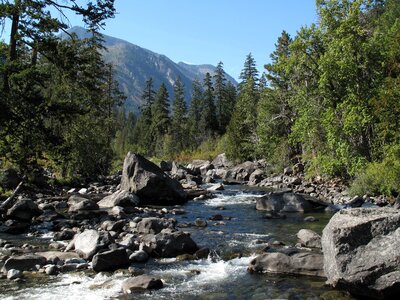 Nature water stream
