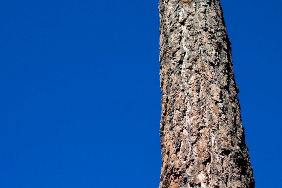 Arizona Sky Comes Naturally Polarized