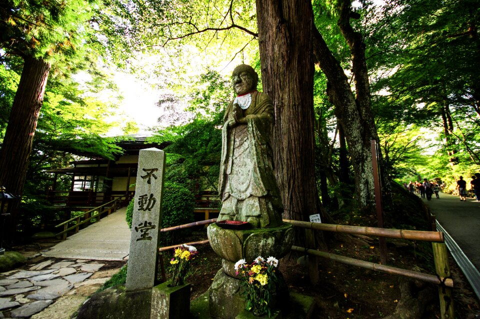 Japan natural light