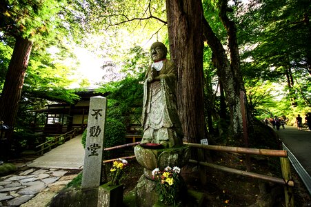 Japan natural light