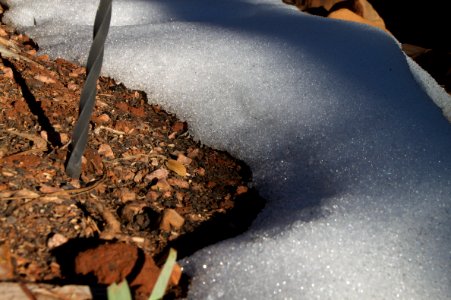 Last Remnants of Snow Banks