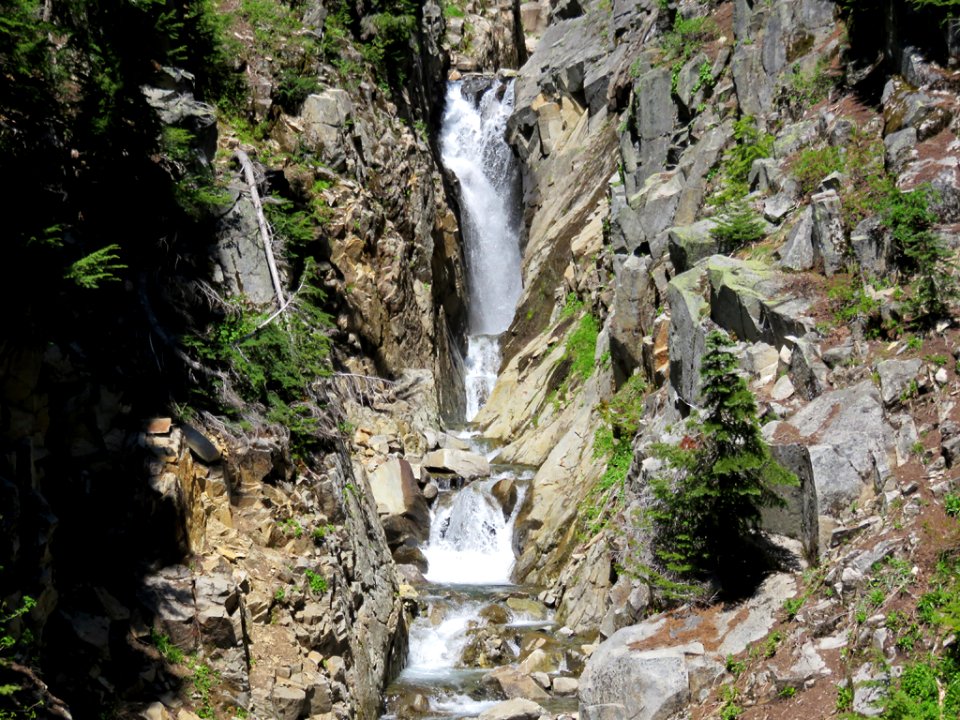 Mt. Rainier NP in WA