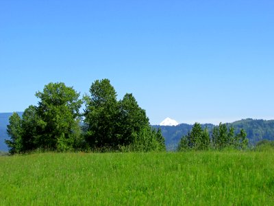 Steigerwald Lake NWR in WA