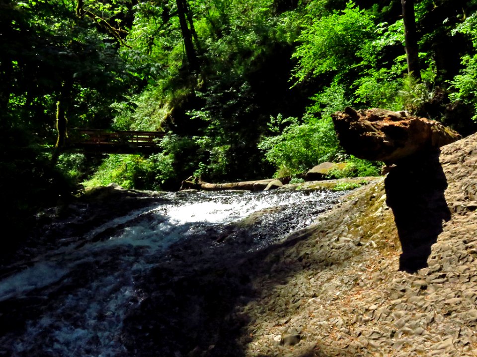 Oneonta Creek at Columbia River Gorge in Oregon