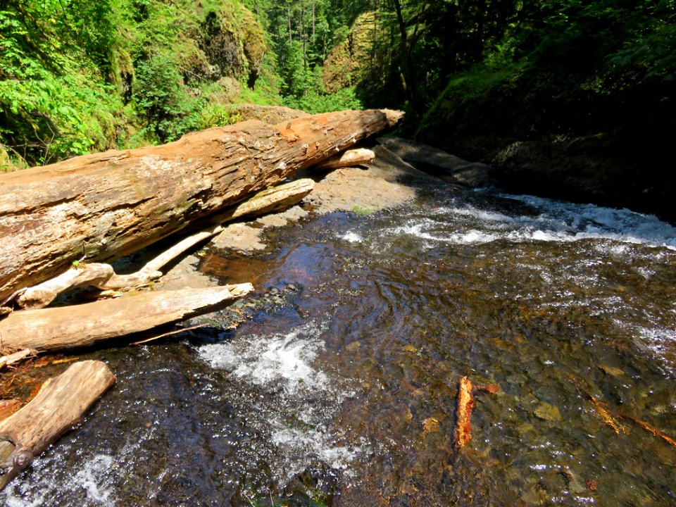 Oneonta Creek at Columbia River Gorge in Oregon