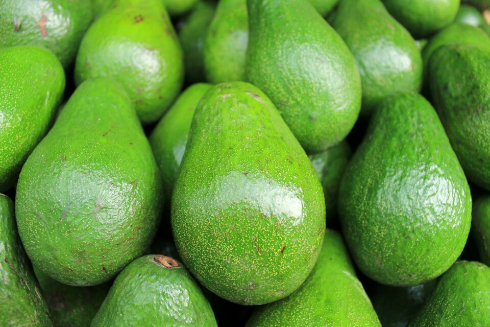 Organic freshness fruit