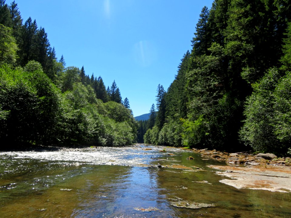 Lower Lewis River Falls in WA