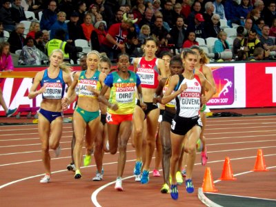 Womens 3000 metres Steeplechase photo