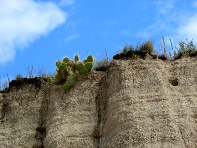 Badlands NP in SD photo