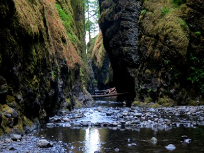 Oneonta Gorge in Oregon photo